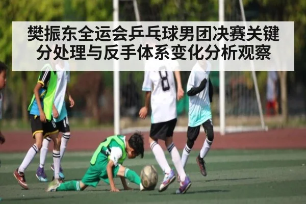 樊振东全运会乒乓球男团决赛关键分处理与反手体系变化分析观察（kaiyun）